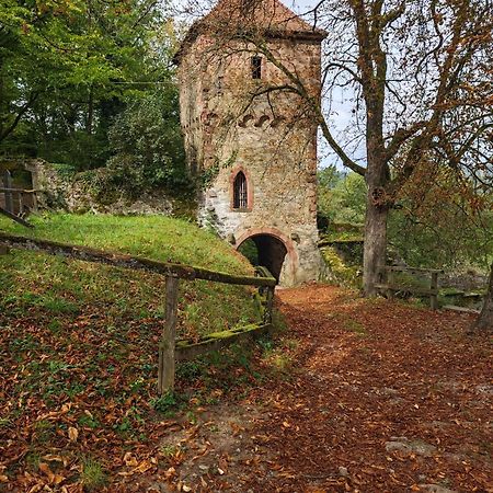 Villa Vanilla Im Burgdorf 11 P. Neidenstein Zewnętrze zdjęcie